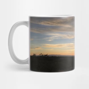 Splendid desert sunset Mug